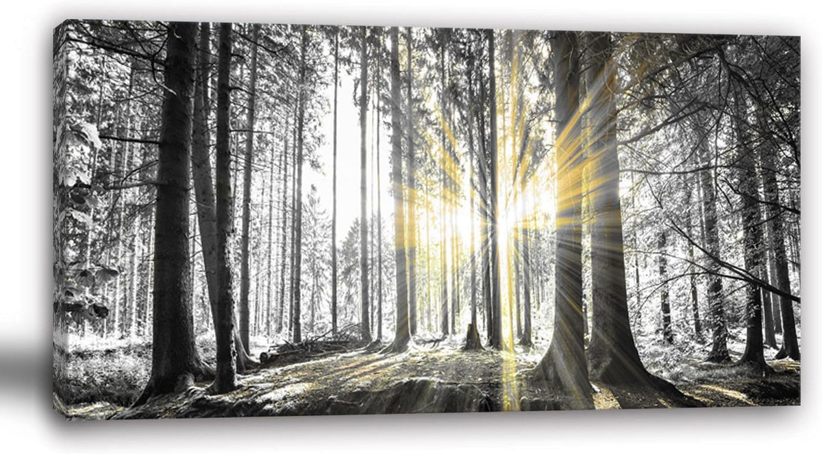 Yxbhhym-Bedroom Wall Art Decor for Living Room Large Canvas Prints Art Black and White Forest Wall