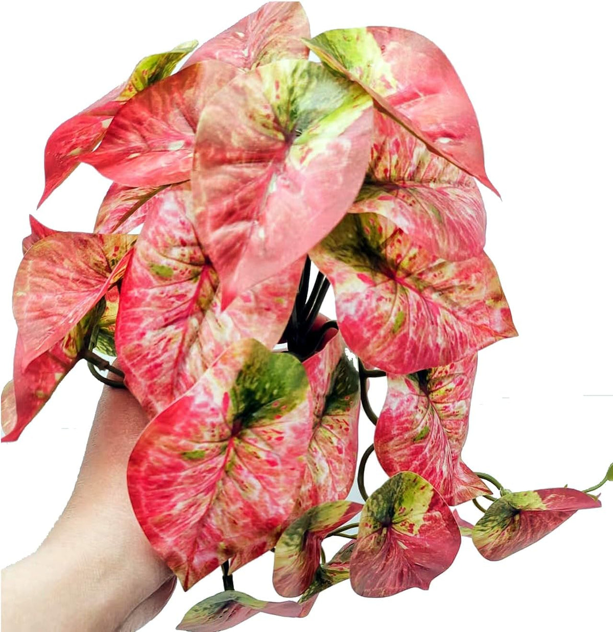 2 Pack Reptile Plants for Terrarium Decor, Amphibian Habitat Decor, Reptile Tank Accessories