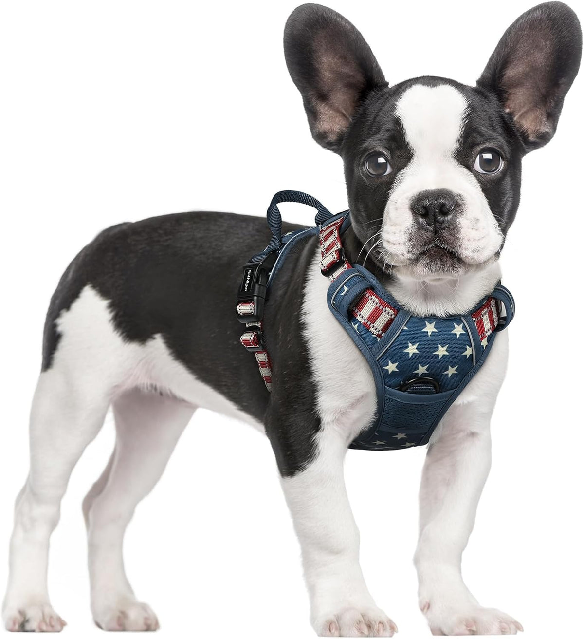 rabbitgoo Dog Harness No Pull with 2 Leash Clips, Adjustable Soft Padded, Reflective Oxford No