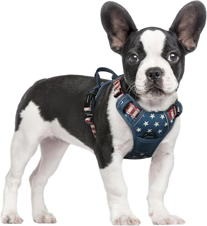 rabbitgoo Dog Harness No Pull with 2 Leash Clips, Adjustable Soft Padded, Reflective Oxford No