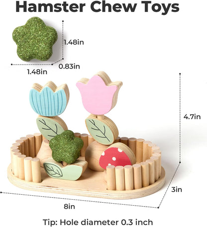 mini&moe Hamster Chew Toys for Teeth - Guinea Pig Chews Enrichment Toys Natural Edible Rabbit Chew
