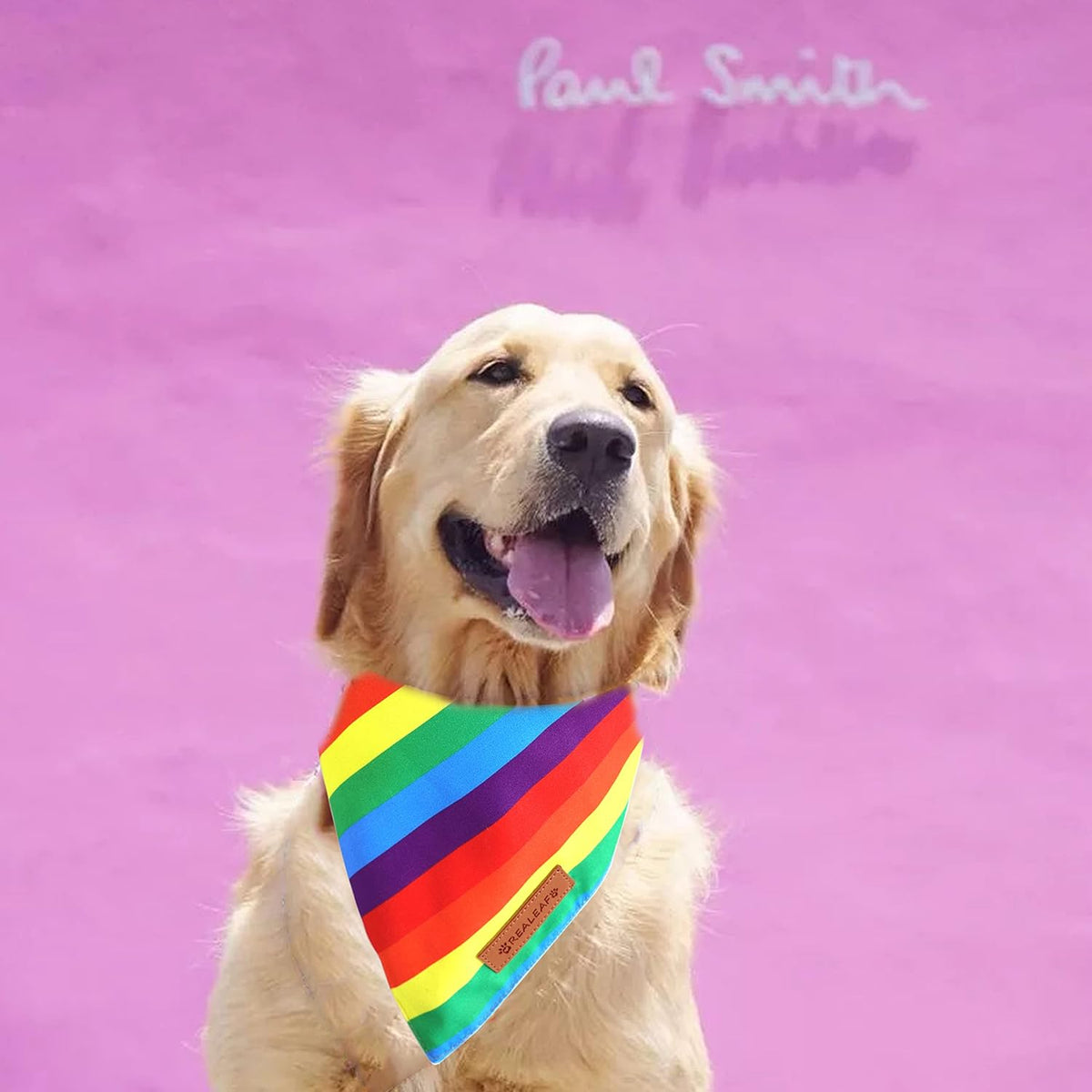 Realeaf Pride Dog Bandanas 2 Pack, LGBT LGBT+ Rainbow Scarves Bibs for Dogs, Premium Durable