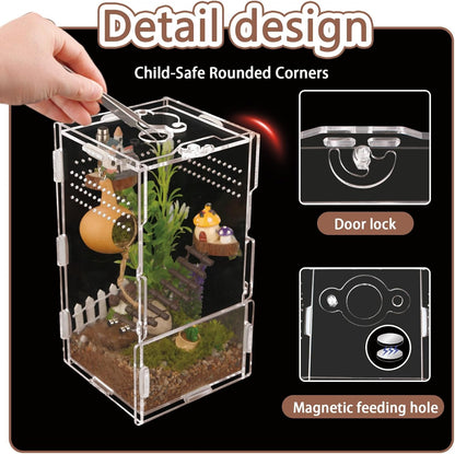 8x4x4in Vertical Acrylic Jumping Spider Enclosure – Arboreal Tarantula & Reptile Terrarium for