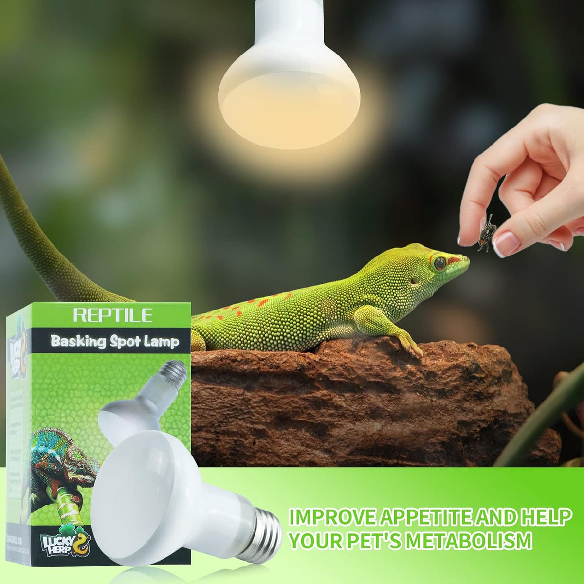 LUCKY HERP 2 Pack 50W Reptile Heat Lamp Bulb (2nd Gen), Amphibian Basking Light Bulb, Reptile