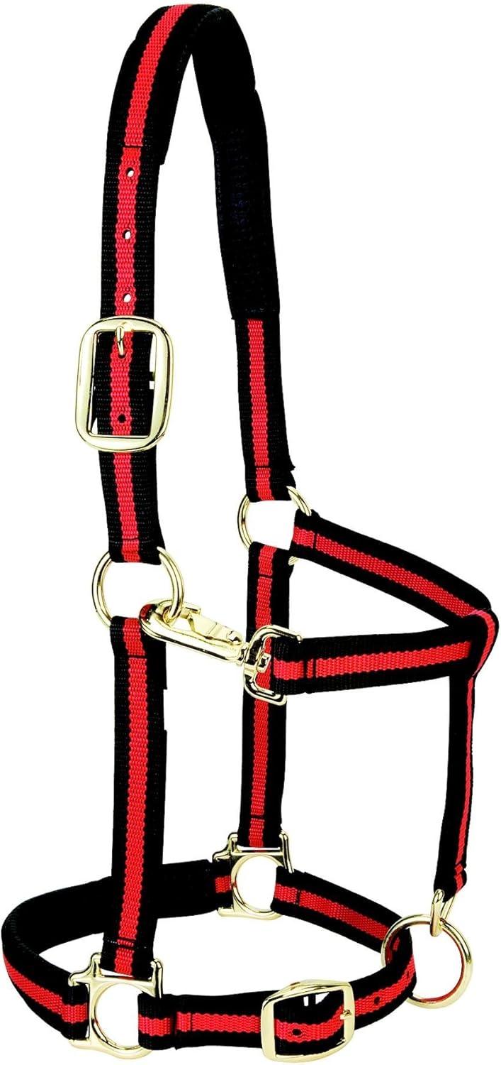 Weaver Equine Nylon Horse Halter, Triple-Ply Cheek Design, Original Non Adjustable Halters for