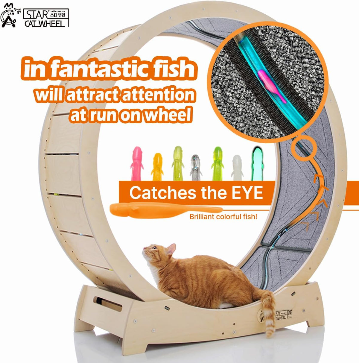 Star Cat Wheel, Cat Treadmill, Exercise Wheel for Running, Spinning, Scratching, and Climbing for