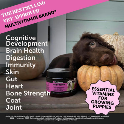 Multivitamin Puppy Treats - Essential Dog Supplements & Vitamins for Learning and Cognitive