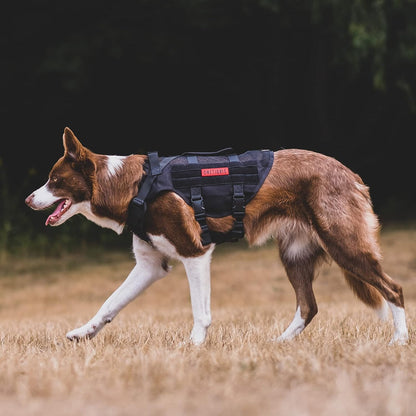 OneTigris No Pull Dog Harness for Small Dog, Mesh Design Breathable Military Dog Molle Vests with