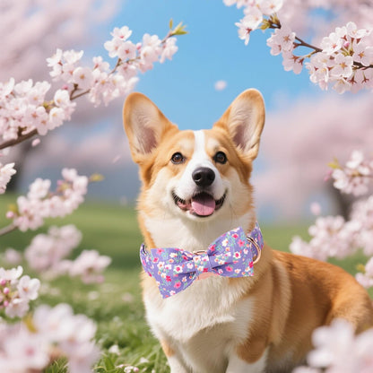 Unique style paws Cartoon Dog Collar with Bow Spring Summer Collar with Mutiflower for Small Medium