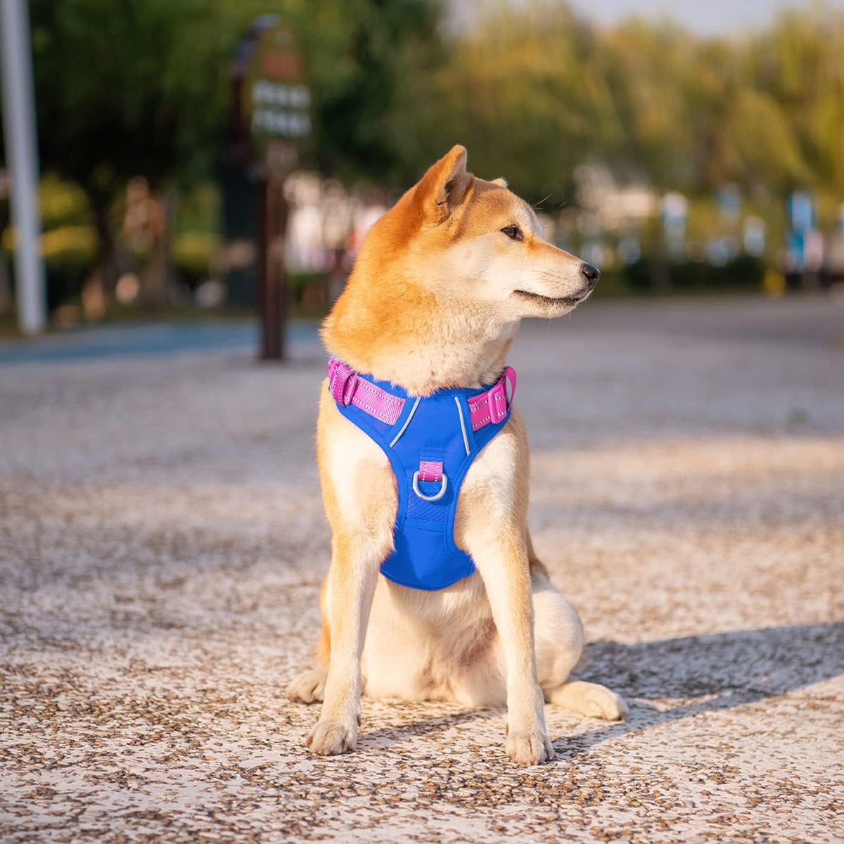 PHOEPET No Pull Dog Harness, Unique Colors Reflective Adjustable Dog Vest, with Soft Training