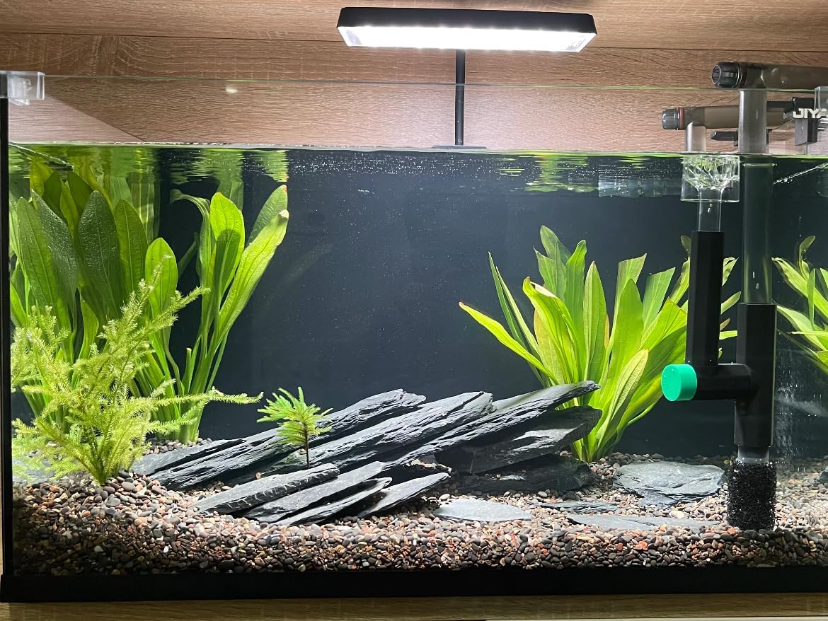 Natural Slate Stone Rocks 2 to 6 inch Aquariums Stone for Aquascaping,Terrariums,Reptile