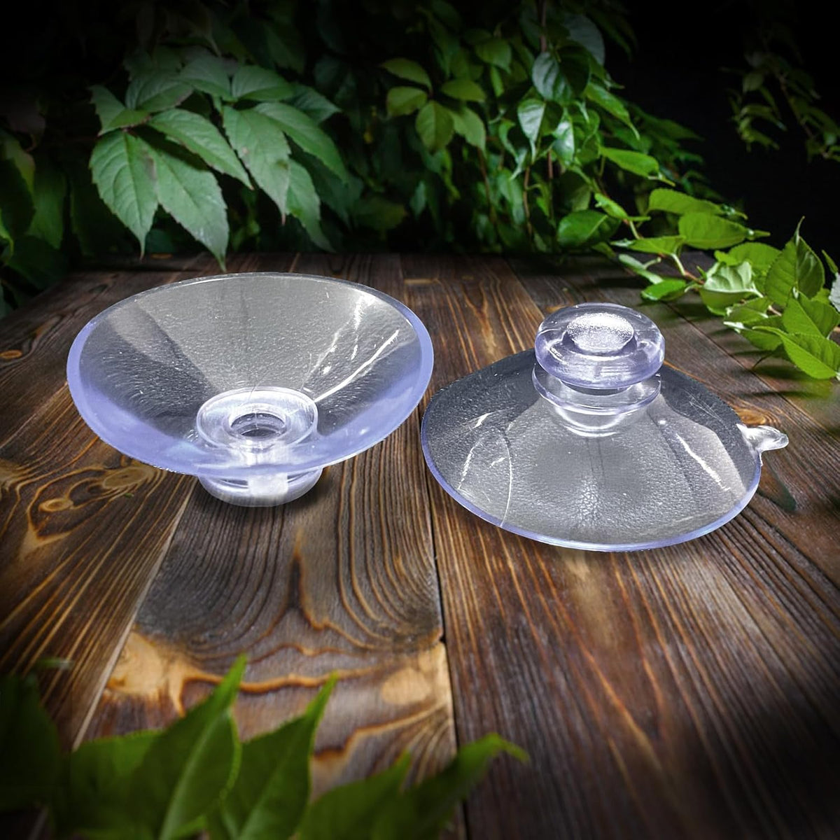 Bearded Dragon Feeder, Transparentk Acrylic Reptile Feeder Box, Chameleon Bug Bowl, Wall-Mounted