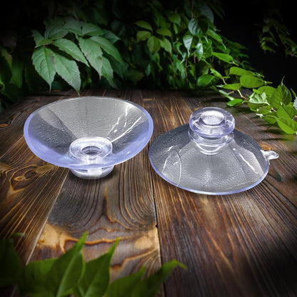 Bearded Dragon Feeder, Transparentk Acrylic Reptile Feeder Box, Chameleon Bug Bowl, Wall-Mounted
