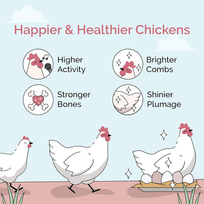 Organic Chicken Feed – Layer Pellet, Non-GMO, USA Grown, 16% Protein, Corn-Free, Soy-Free
