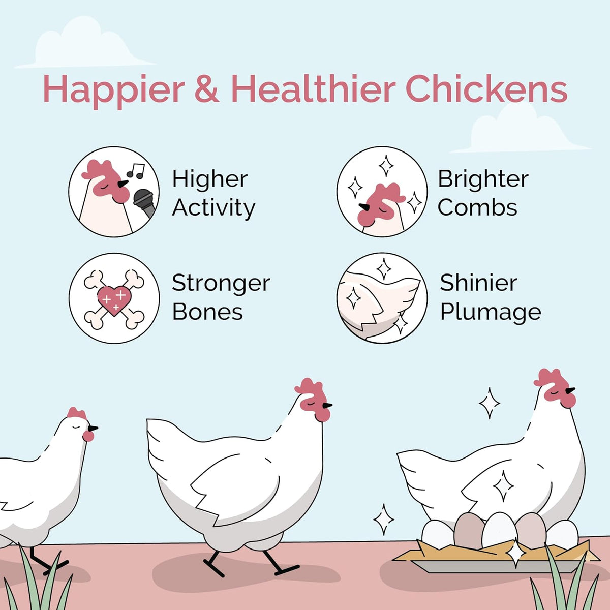 Organic Chicken Feed – Layer Pellet, Non-GMO, USA Grown, 16% Protein, Corn-Free, Soy-Free
