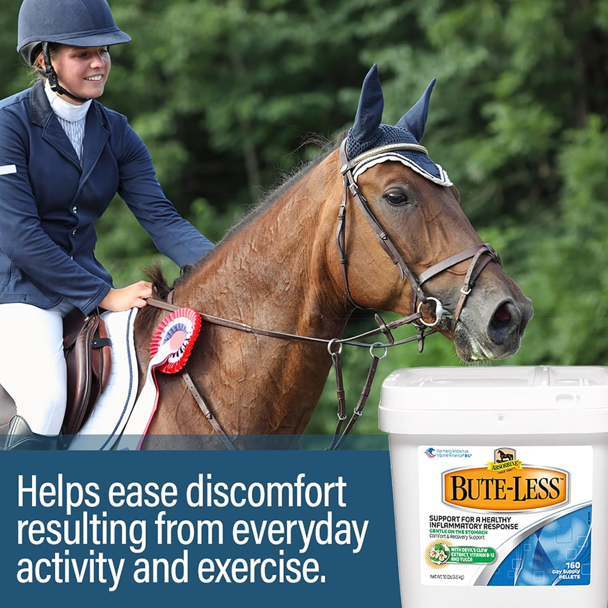 Absorbine Bute-Less Comfort & Recovery Support Supplement, Provides Long-Term Comfort, Gentle on