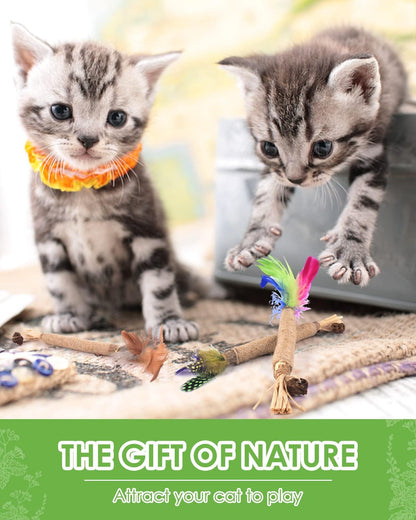 TINDTOP Silvervine Chew Sticks for Cats, Natural Catnip Chew Toys for Kittens Teeth Cleaning