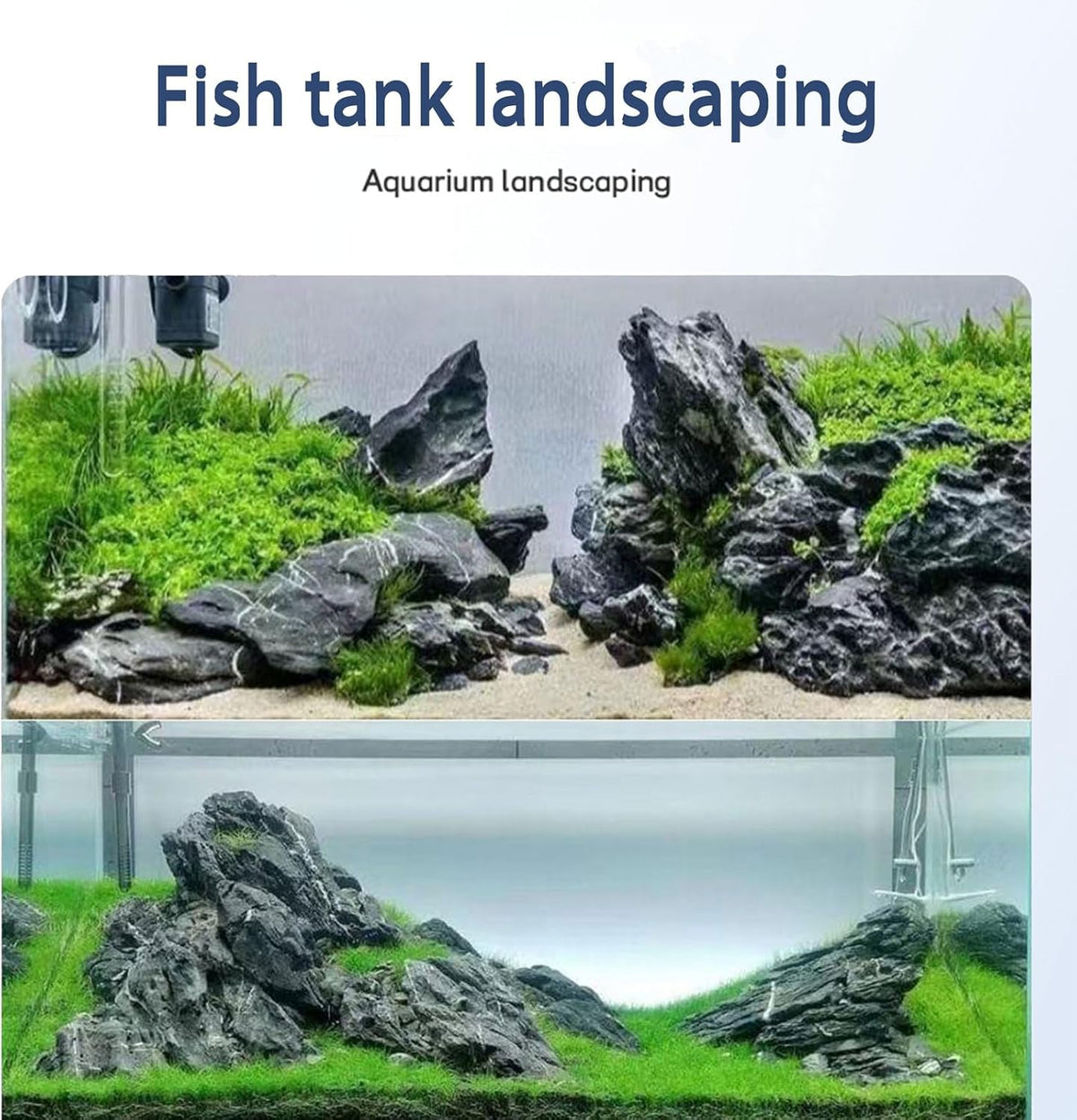 Natural Rocks Seiryu Stones Aquariums Stones for Aquascaping, Aquariums, Terrariums, Vivariums