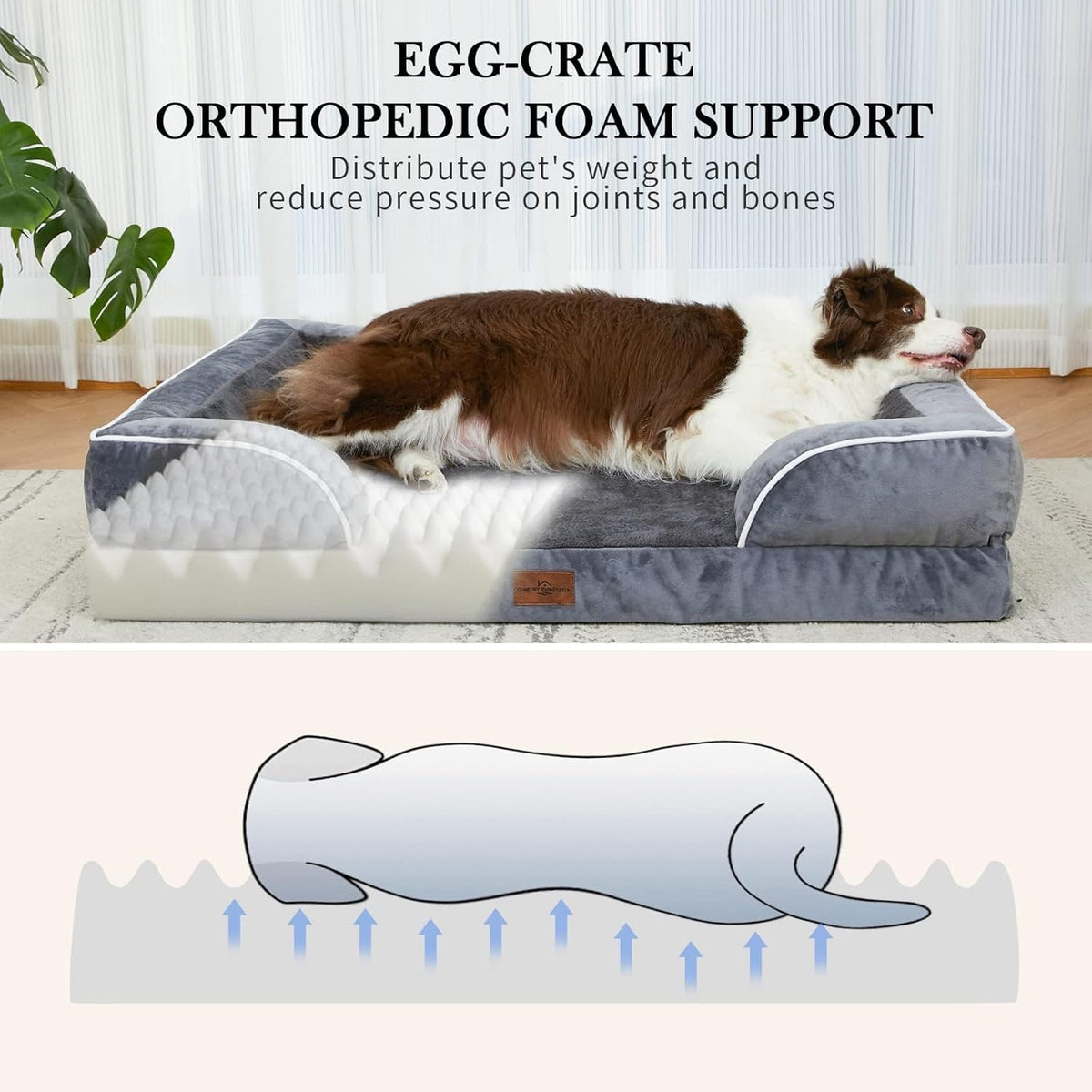 Comfort Expression Medium Dog Beds Waterproof Orthopedic Foam Dog Sofa Beds for Medium Large Dogs