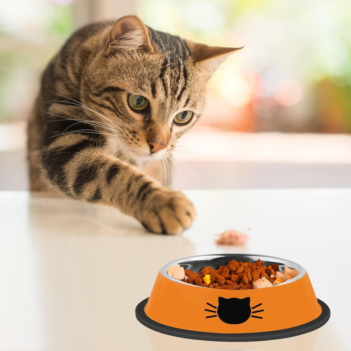 2Pcs Cat Bowls Non-Slip Stainless Steel Small Cat Food Bowls Unbreakable Thicken Cat Feeder 7 Oz
