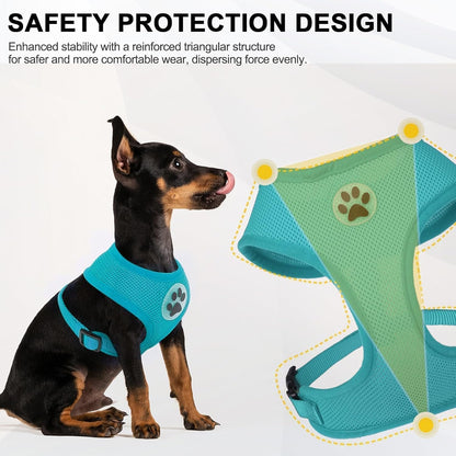 BINGPET Small Dog Harness - Breathable Mesh Puppy Cat Harnesses - No Pull Adjustable Dog Harness