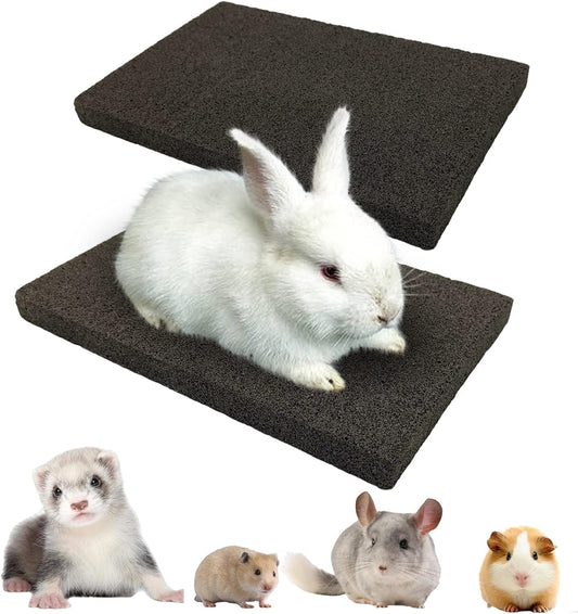BNOSDM Rabbit Grinding Claw Pads 2 Pack Bunny Scratch Foot Pads Natural Hamster Lava Stone for