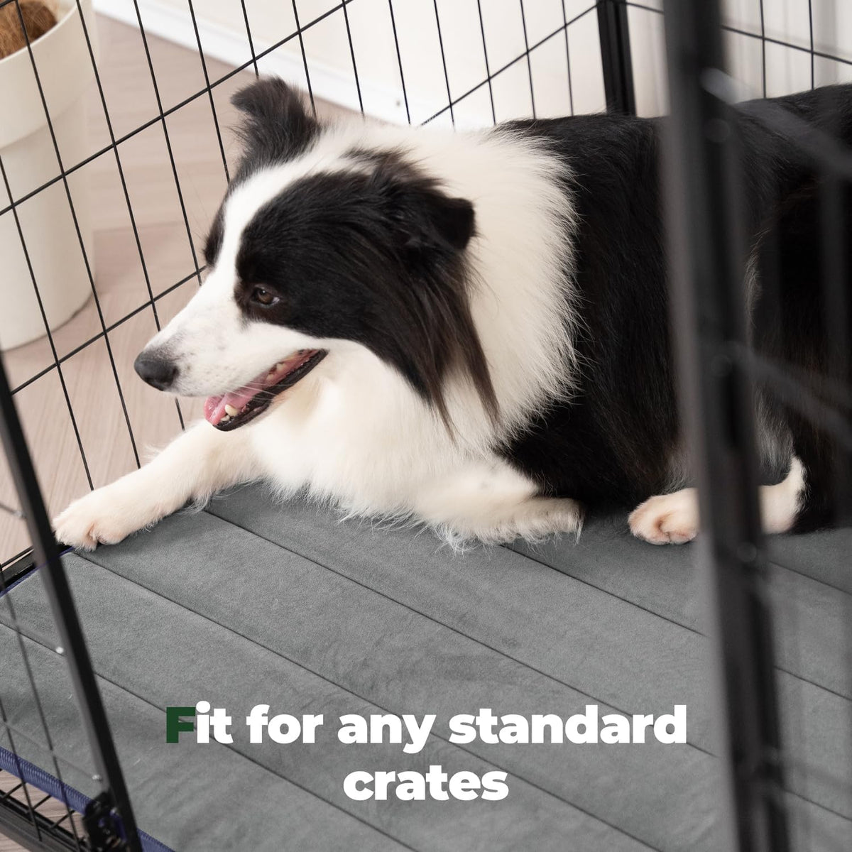 BALANCE Dog Crate Pad, Dog Foam Crate Mat Kennel Pad, Washable Water-Resistant Pet Bed Flat Dogs