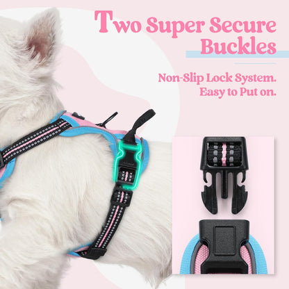rabbitgoo Dog Harness No Pull with 2 Leash Clips, Adjustable Soft Padded, Reflective Oxford No
