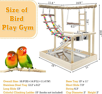 Hamiledyi Bird Playground Parrots Wood Perch Stand Cockatiel Playground Bird Play Gym Colours Climb