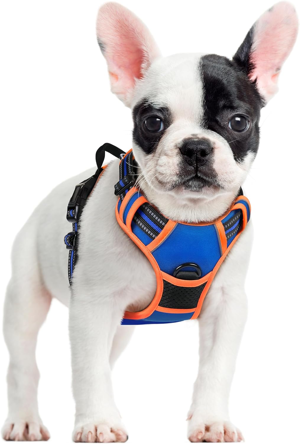 rabbitgoo Dog Harness No Pull with 2 Leash Clips, Adjustable Soft Padded, Reflective Oxford No