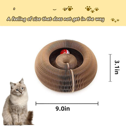 Kitty Curlz Cat Scratching Board, Magic Organ Cat Toy, Made of Recyclable Corrugated Cardboard