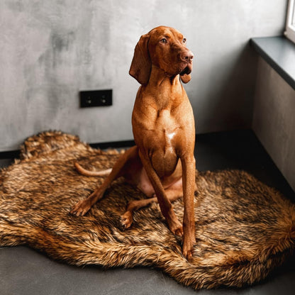 IHAPPYDOG Luxury Faux Fur Orthopedic Dog Bed, Memory Foam Dog Bed for Small, Medium, Large and XL
