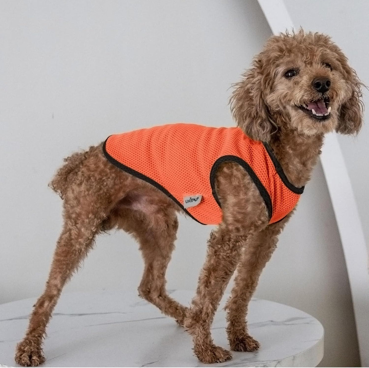2 Pack Cooling Shirts for Dogs, Lightweight Mesh Breathable Dog Clothes for Large Dogs Boy