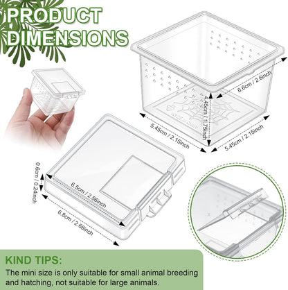 20 Pcs Insect Spider Terrariums Breeding Box Small Reptile Hatching Container Transparent Cricket