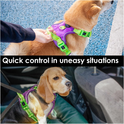 PHOEPET No Pull Dog Harness, Unique Colors Reflective Adjustable Dog Vest, with Soft Training