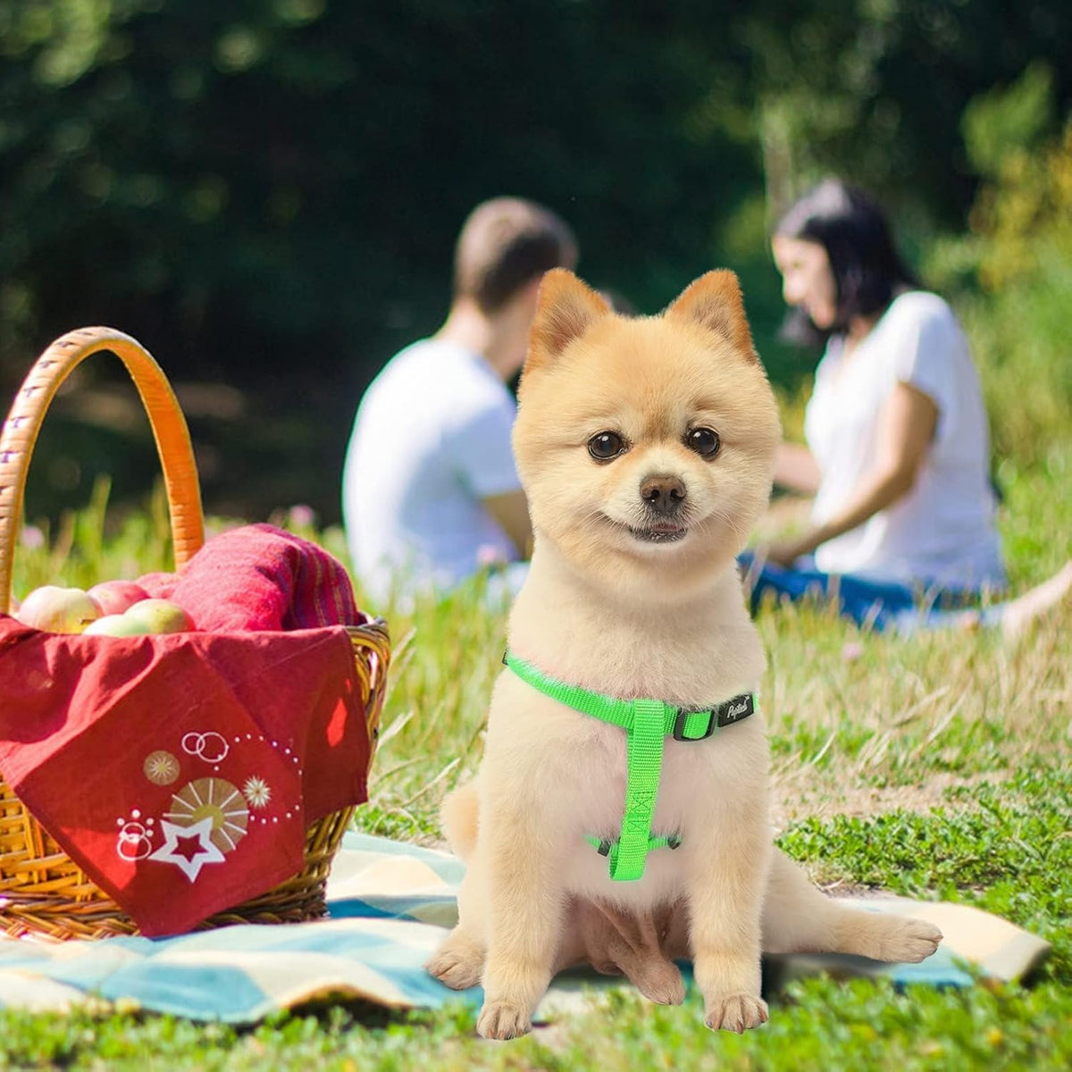 PUPTECK No Pull Dog Harness Soft Adjustable Basic Nylon Step in Puppy Vest Outdoor Walking with ID