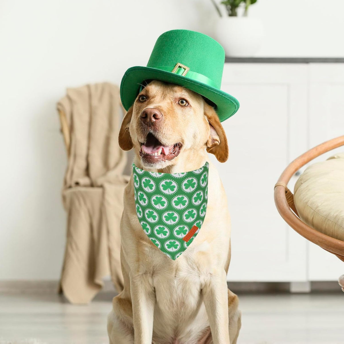 PTDECOR St.Patrick's Day Dog Bandana,Green Shamrock Reversible Holiday Dog Scarf, Multi Size
