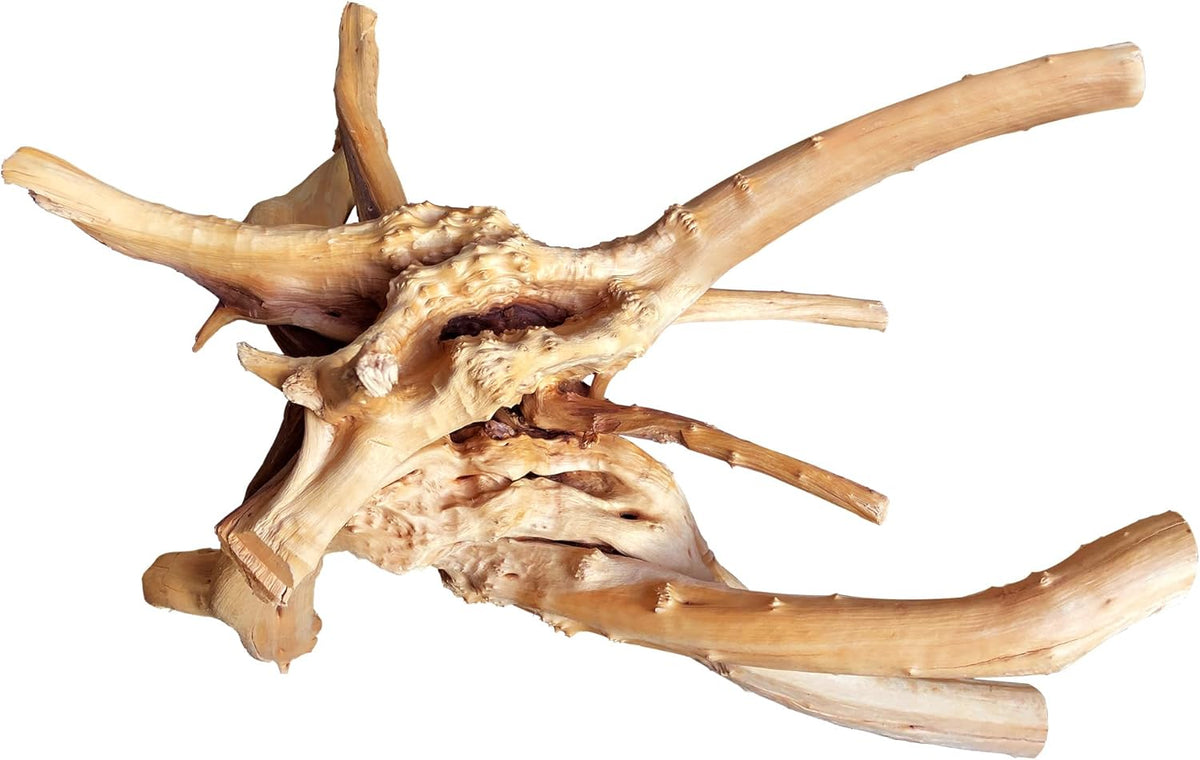 majoywoo Natural Large Driftwood for Aquarium Decor Reptile Decor, Assorted Spider Wood Branch