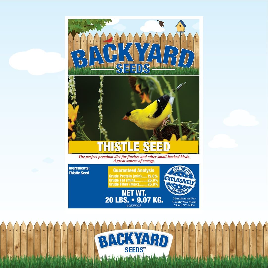 Thistle Seed for Finches – Premium Wild Bird Food for Goldfinches, Siskins & Small Songbirds |