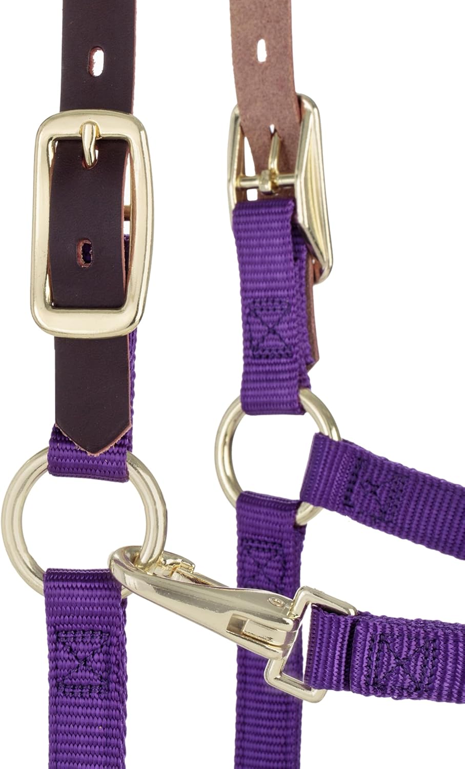 Weaver Equine Breakaway Horse Halter, Supple Leather Crown, Adjustable Chin & Throat Snap Halters