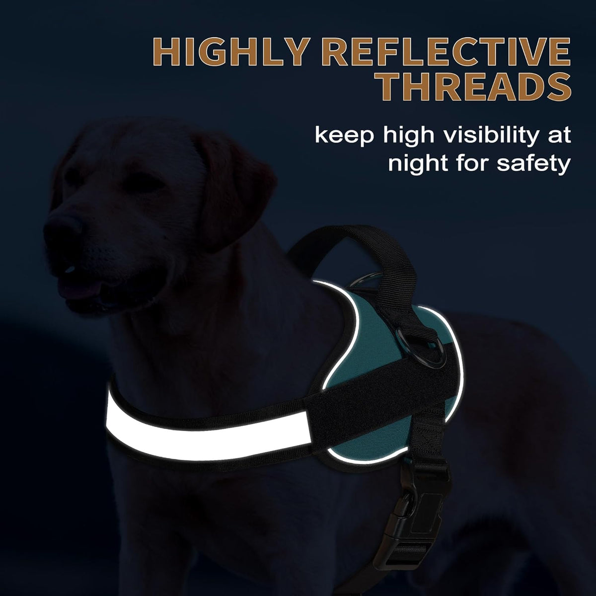 Haapaw Essential Dog Harness, No Pull Pet Vest with 3 Leash Clips, No Choke, Reflective, Adjustable