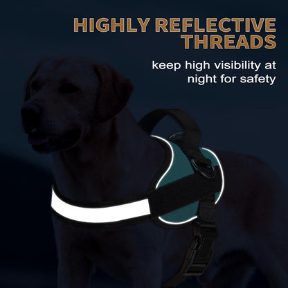 Haapaw Essential Dog Harness, No Pull Pet Vest with 3 Leash Clips, No Choke, Reflective, Adjustable