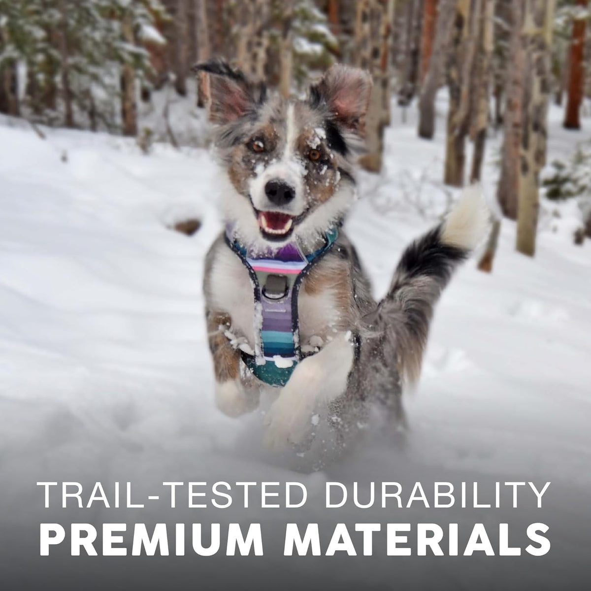 Embark Adventure Dog Harness, Reflective Trim No Pull Harness for Medium Sized Dog - Military Grade