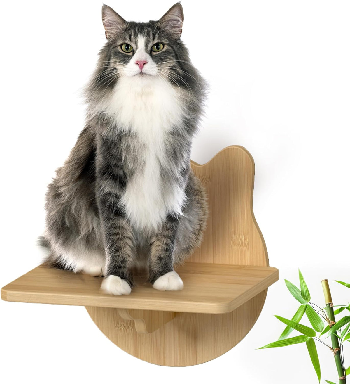 Wall-Mounted Cat Furniture for Climbing - Indoor Wooden Floating Shelves, Perches, Hammock, Bed
