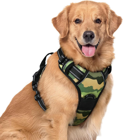rabbitgoo Dog Harness No Pull with 2 Leash Clips, Adjustable Soft Padded, Reflective Oxford No