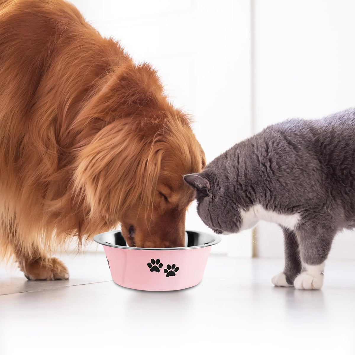 Stainless Steel Dog Bowls, Nonslip Rubber Bottom No Spill Proof Skid Metal Insulated Dog Bowls for