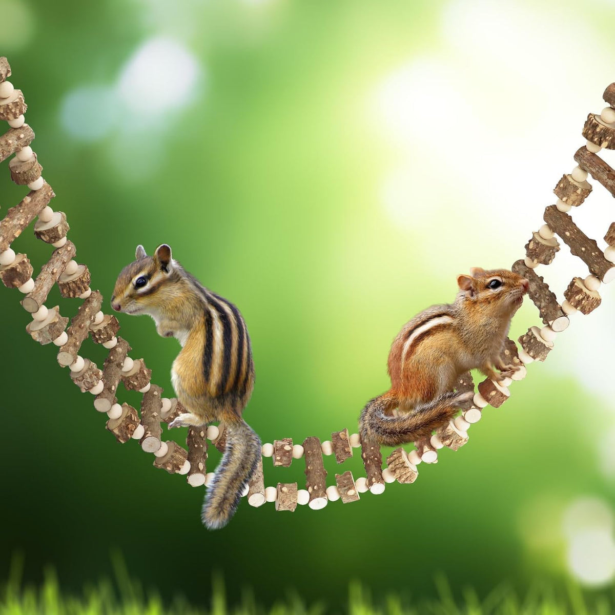Bird Parrot Ladder Bridge Toy, Bird Swing Toy, Natural Pepper Wood Hanging Pet Chewing Toy, Rat