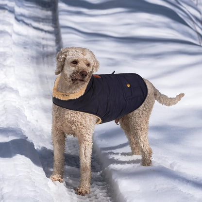 Queenmore Warm Dog Coat, Cold Weather Puffer Dog Jacket with Ultra Thick Plush Lining, Storage