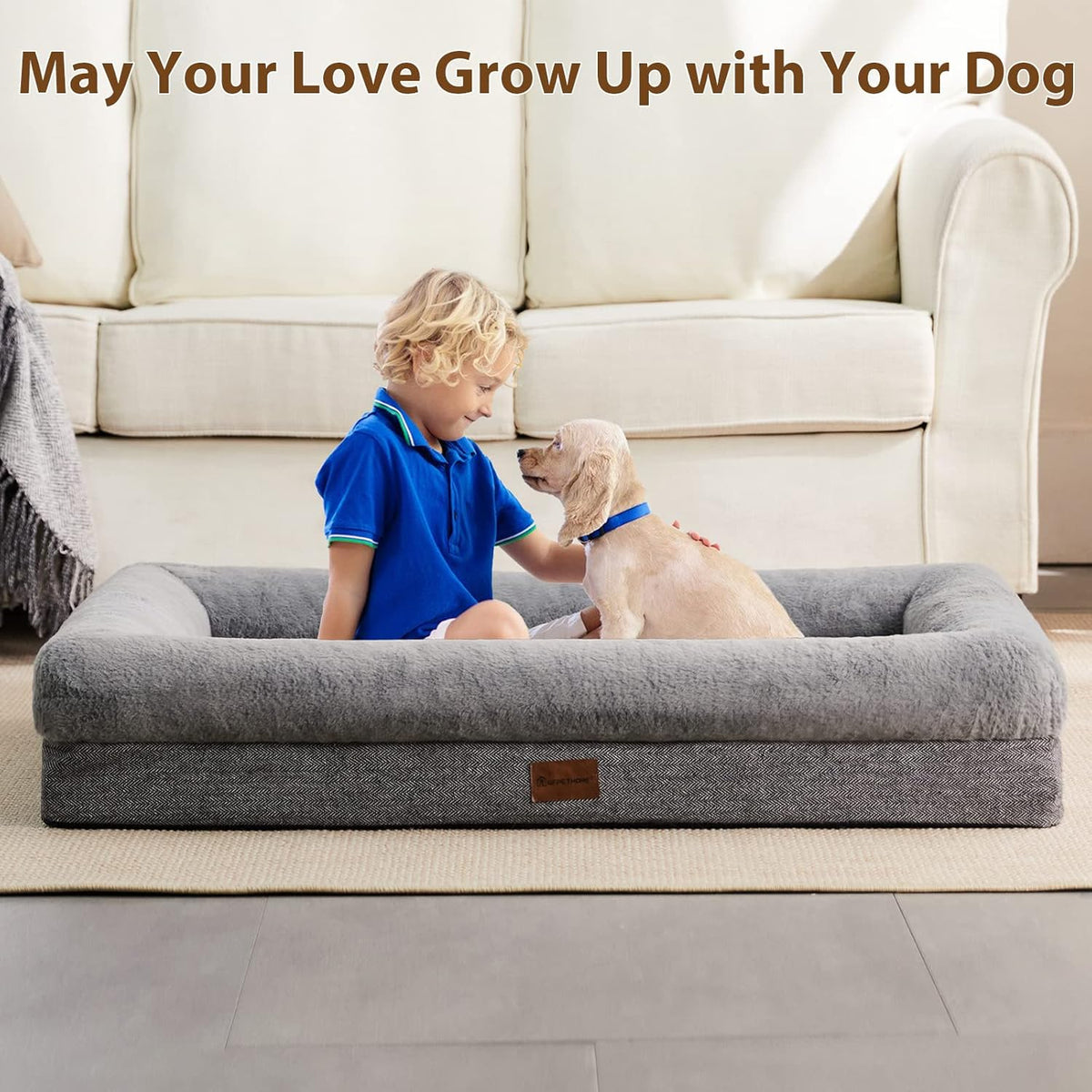 BFPETHOME Dog Beds for Small Dogs, Washable Dog Bed with Sides, Orthopedic Medium Sized Soft Mats