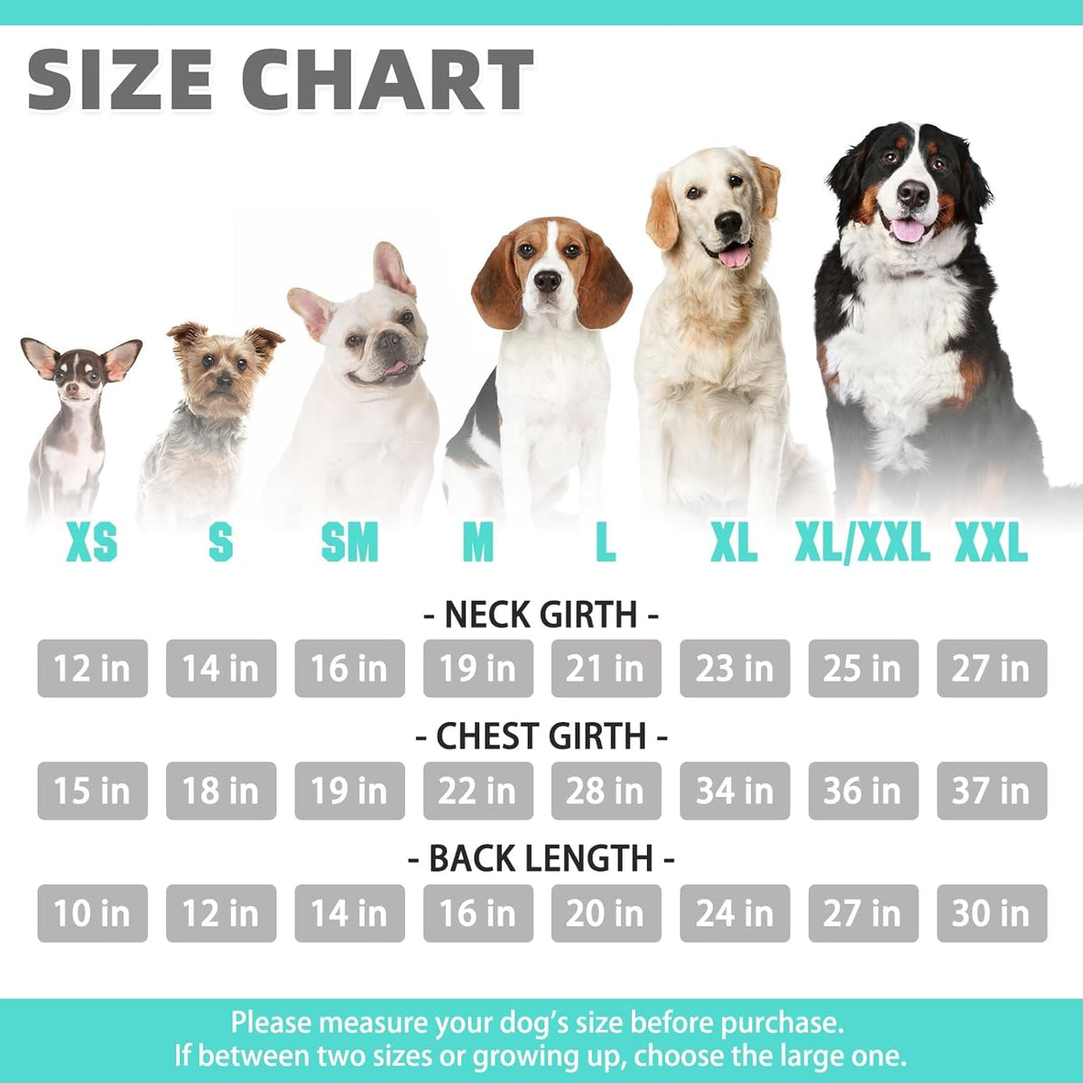 KOOLTAIL Basic Dog Hoodie - Soft and Warm Dog Hoodie Sweater with Leash Hole and Pocket, Dog Winter